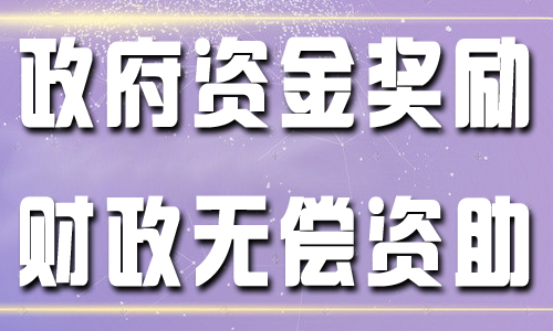 政府资助申请项目和申请流程