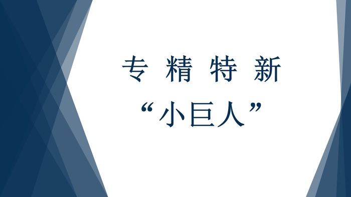 2026年专精特新“小巨人”企业申报和复核工作的通知
