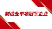 2026年省级制造业单项冠军企业遴选认定及复核评价工作的通知