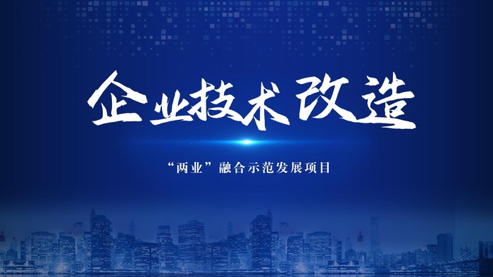 企业技术改造项目扶持计划（“两业”融合示范发展项目）申报指南