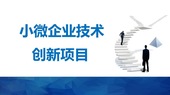 2026年度小微企业技术创新项目