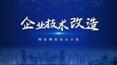 企业技术改造绿色制造试点示范奖励项目申报指南